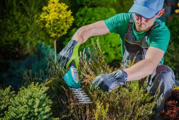 landscaping services Washington Court House